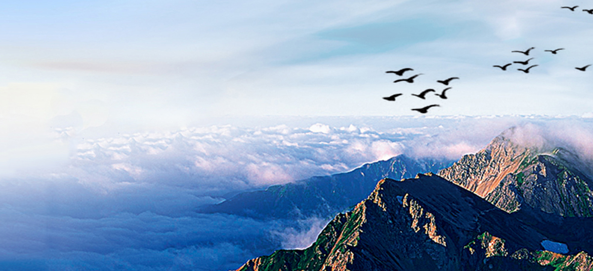 管家式服務(wù)，定期回訪(fǎng)